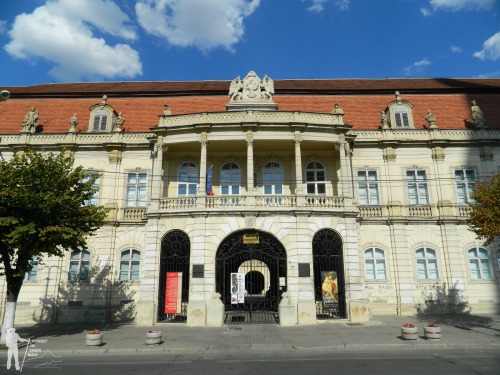Muzeul-de-arta-Cluj